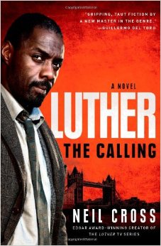 51wuwdew1fl-_sy344_bo1204203200_