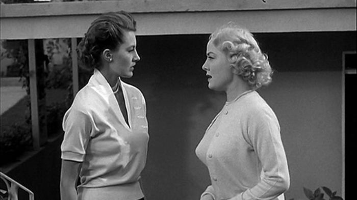 411cd9e8c5c6e51ee9a82433c98eed7d